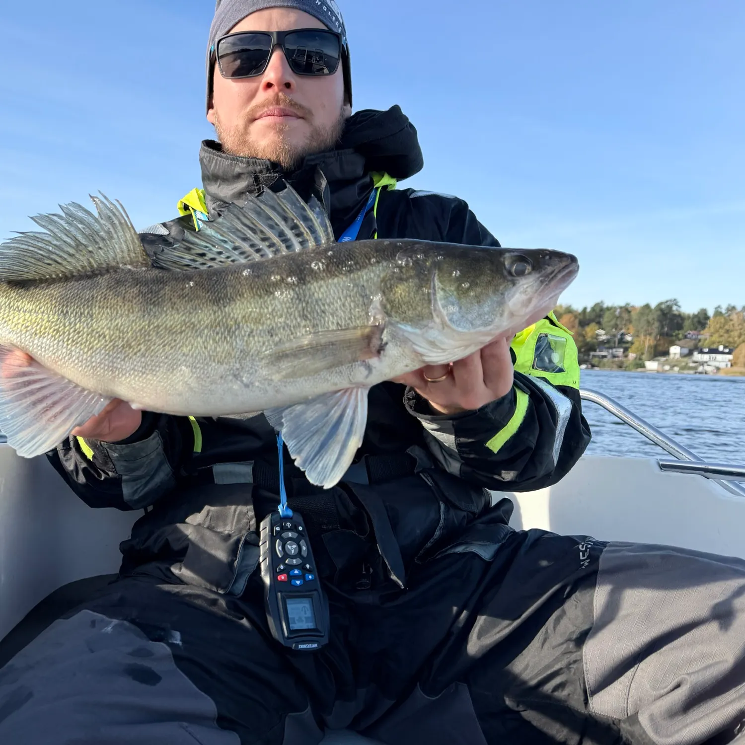 The most recent Zander catches on Fishbrain