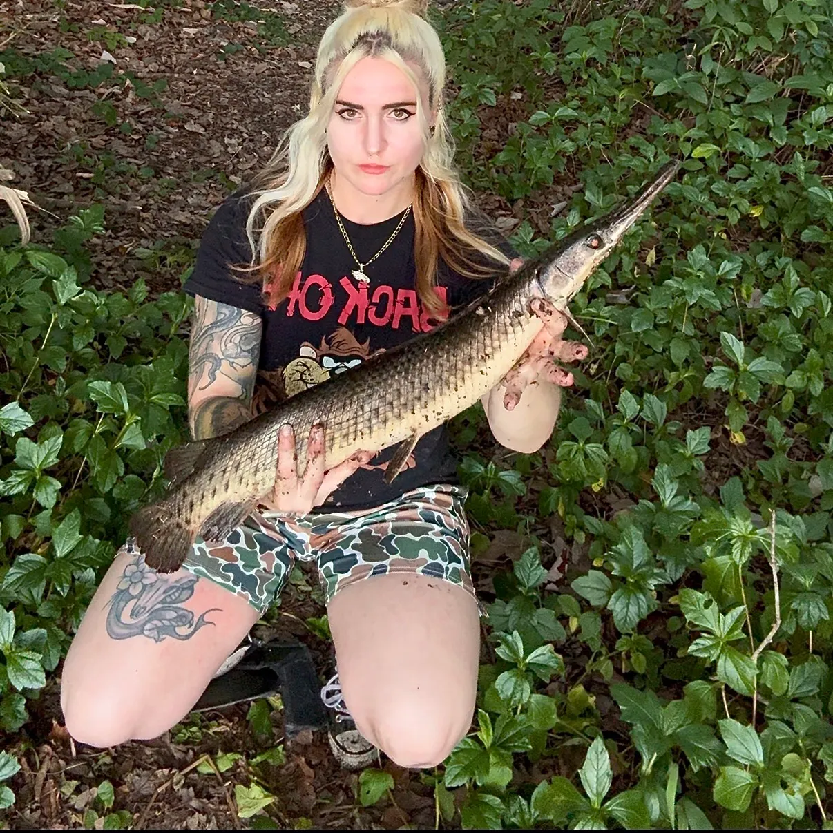 Florida gar caught on Fishbrain