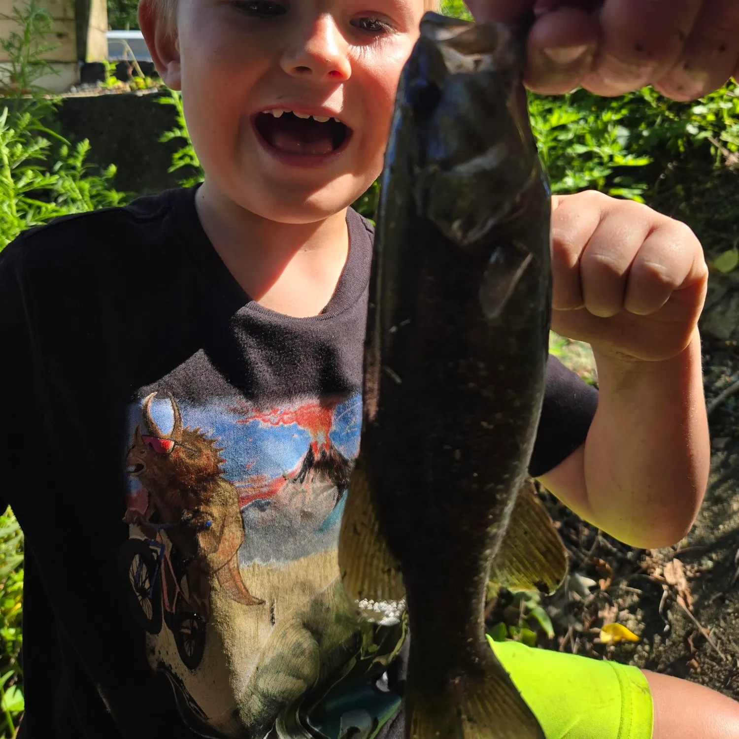 Smallmouth bass caught on Fishbrain