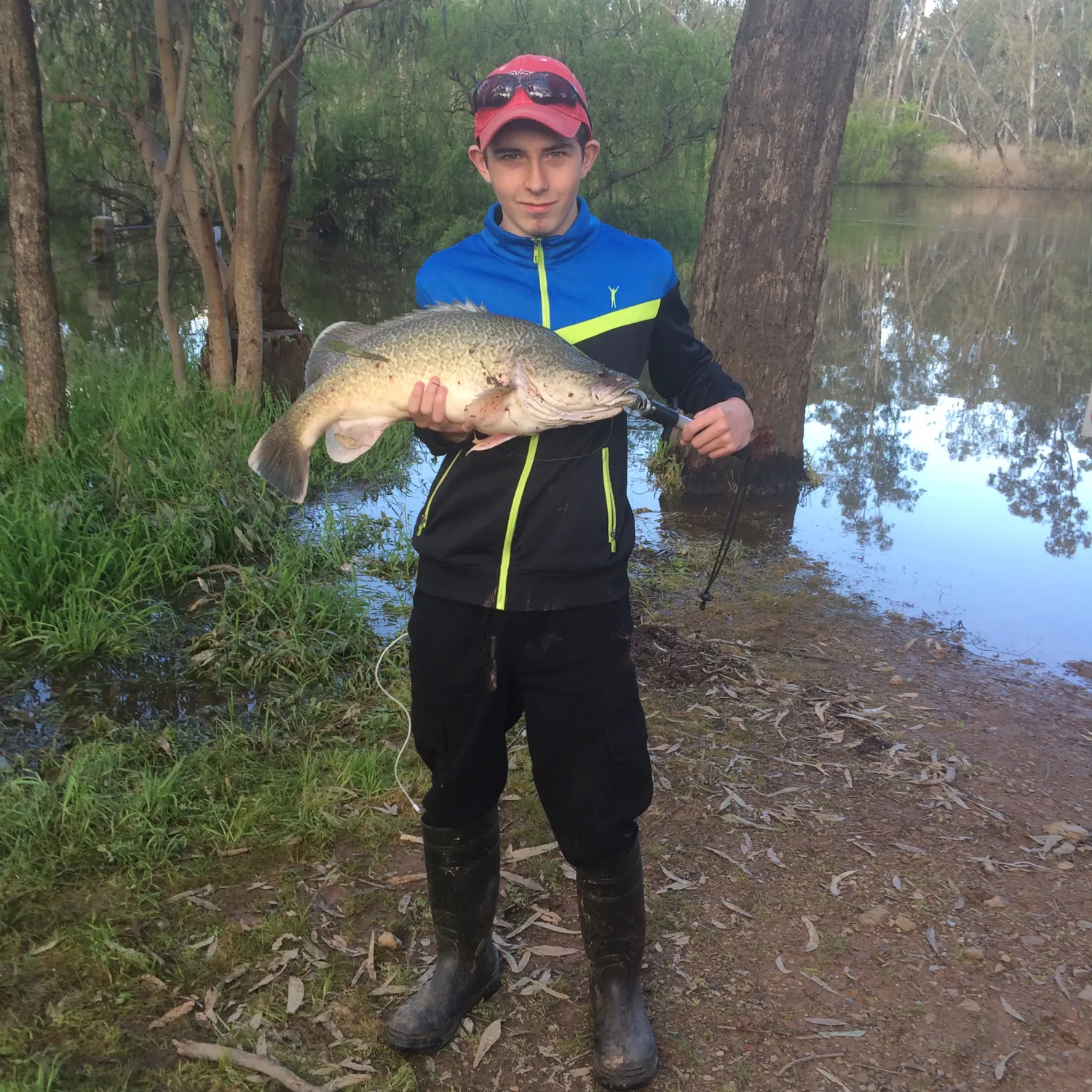 Post image from brocky02