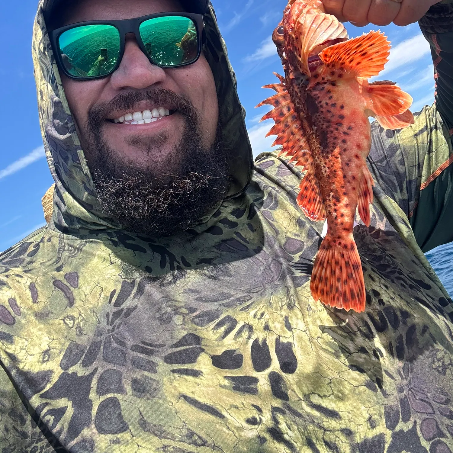 California scorpionfish caught on Fishbrain