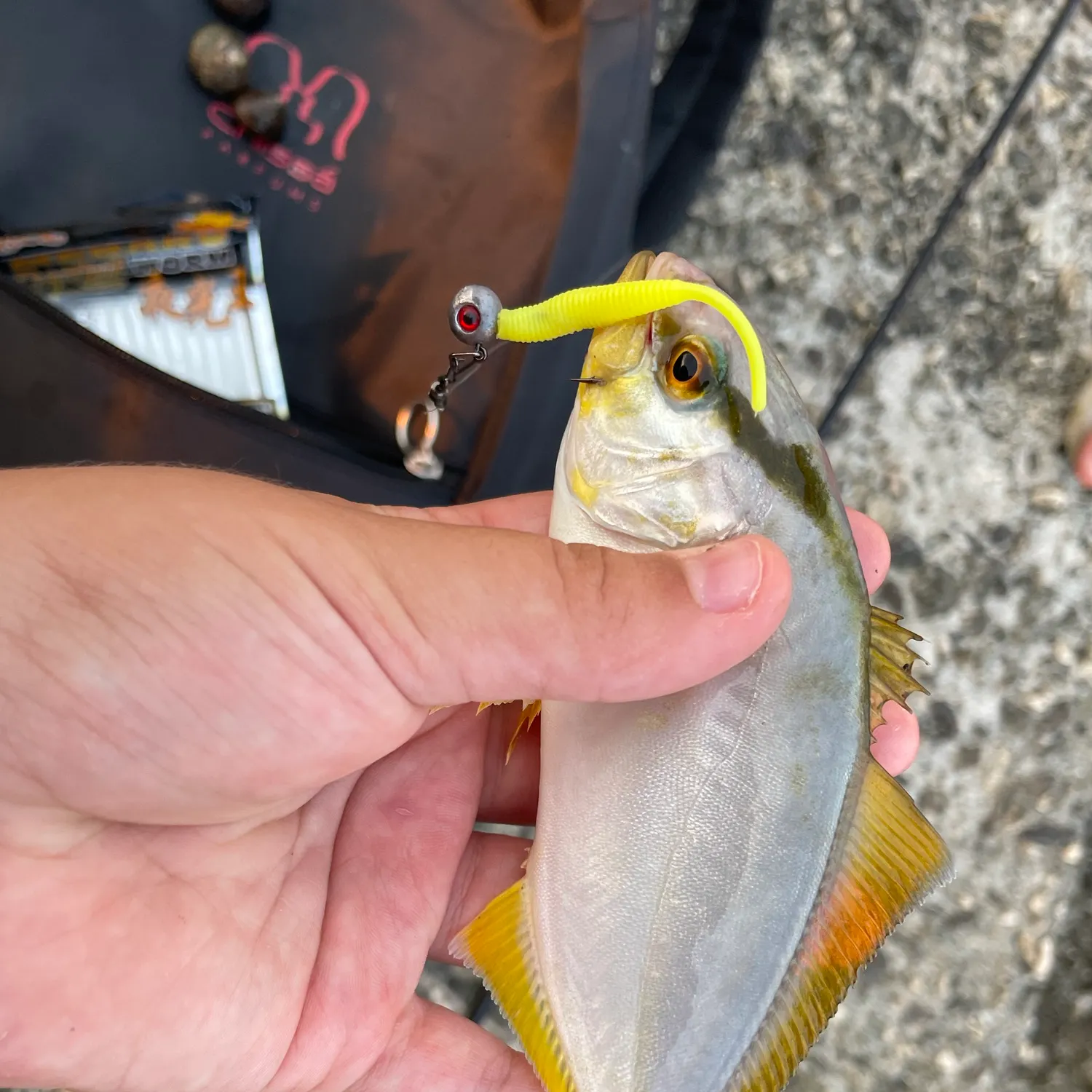 Fish caught on Fishbrain