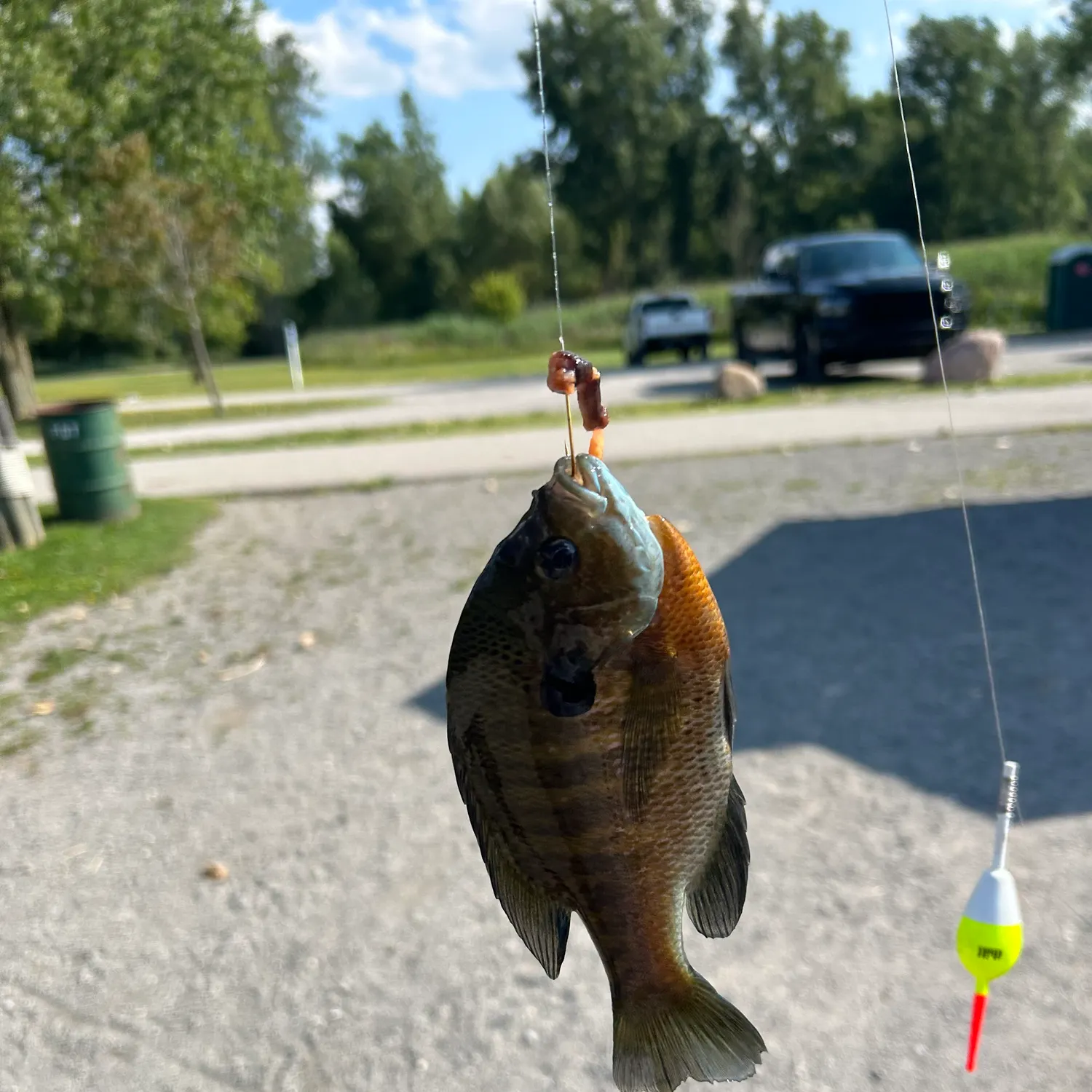 catch