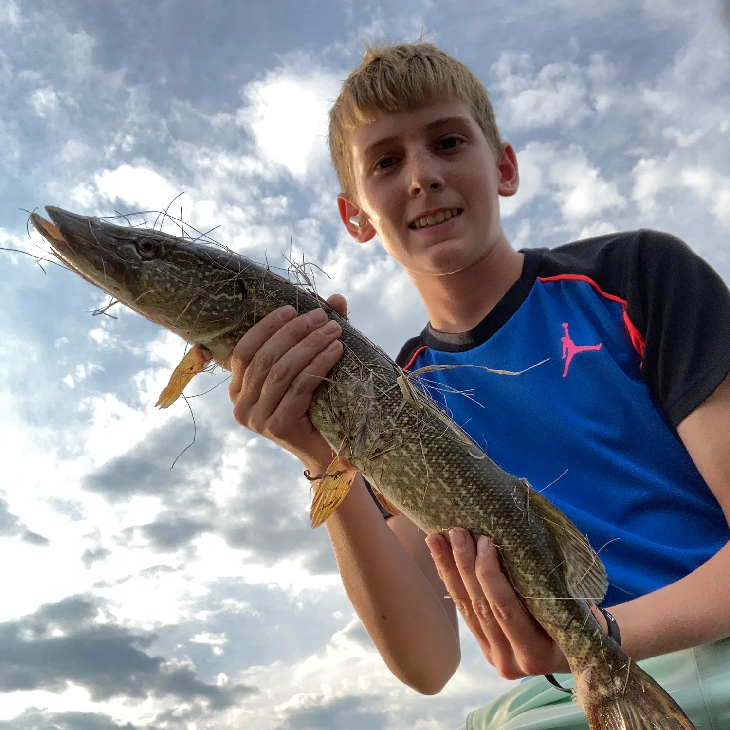 Northern pike caught on Fishbrain