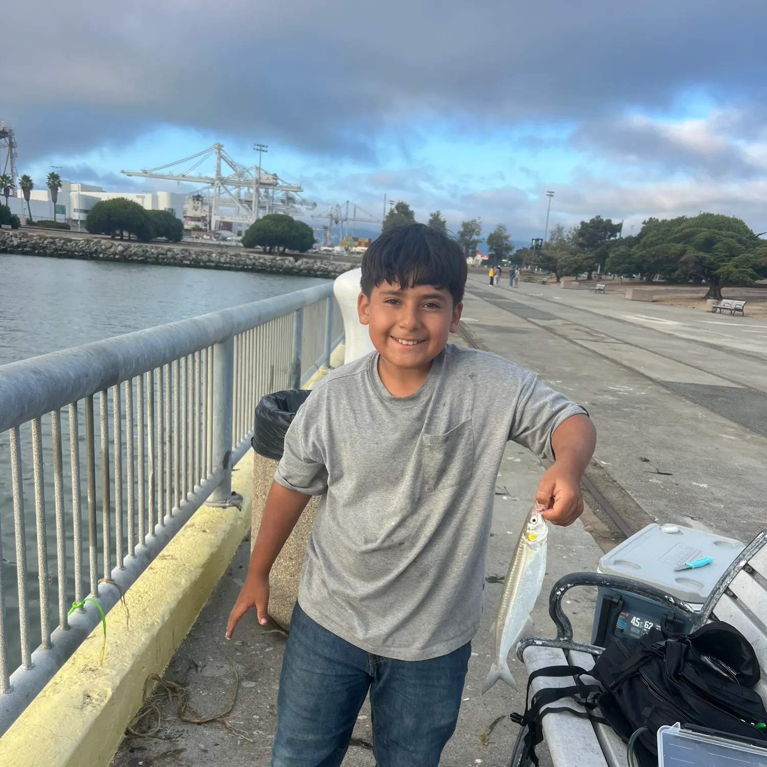 Jack silverside caught on Fishbrain