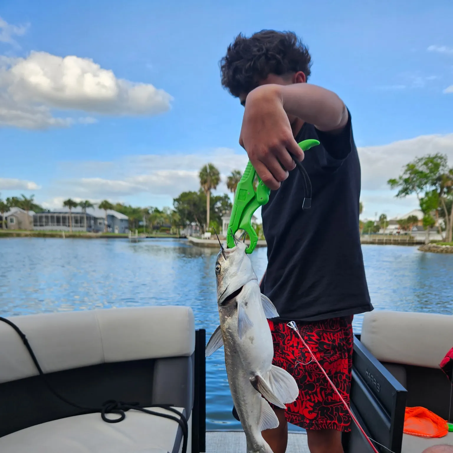 catch