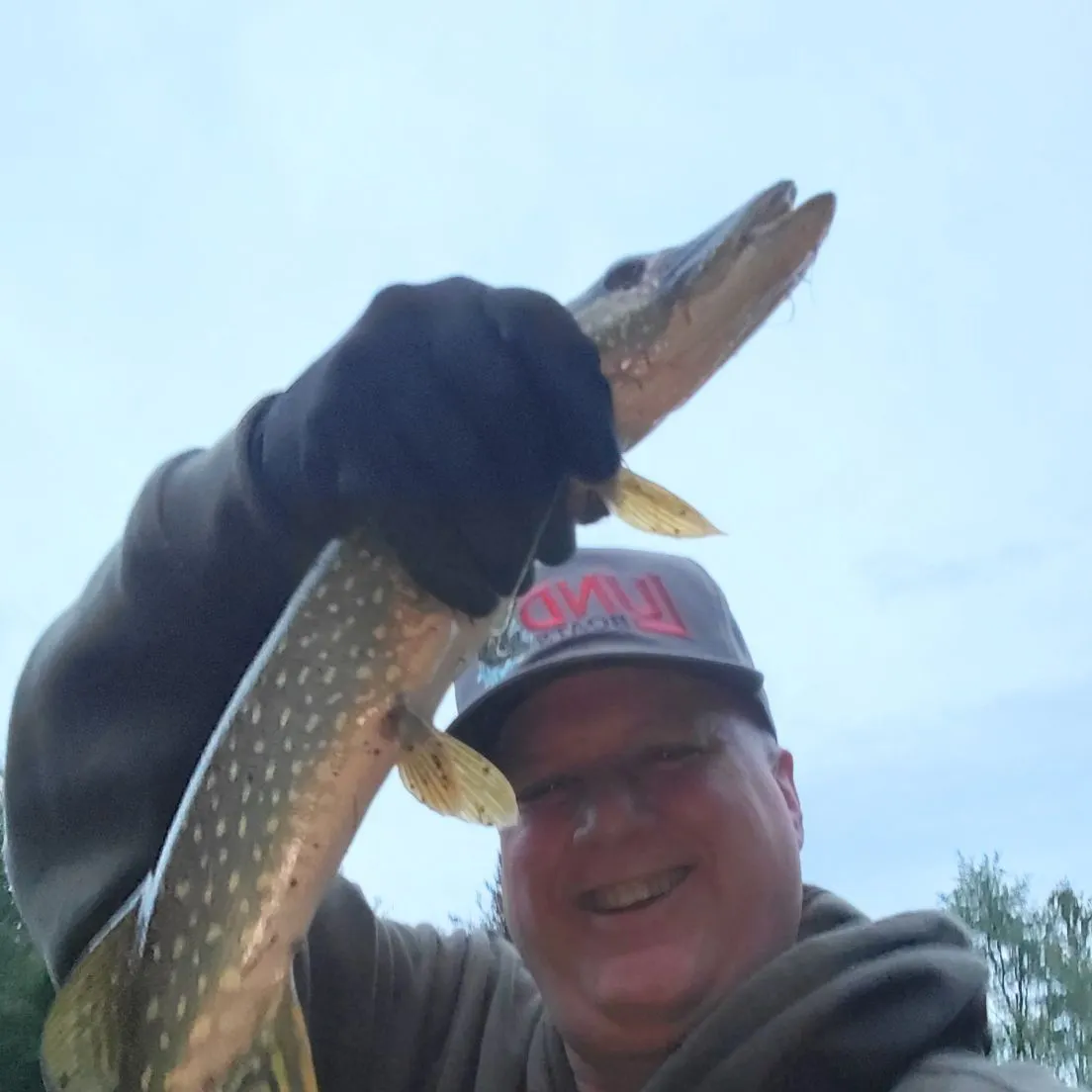 Northern pike caught on Fishbrain