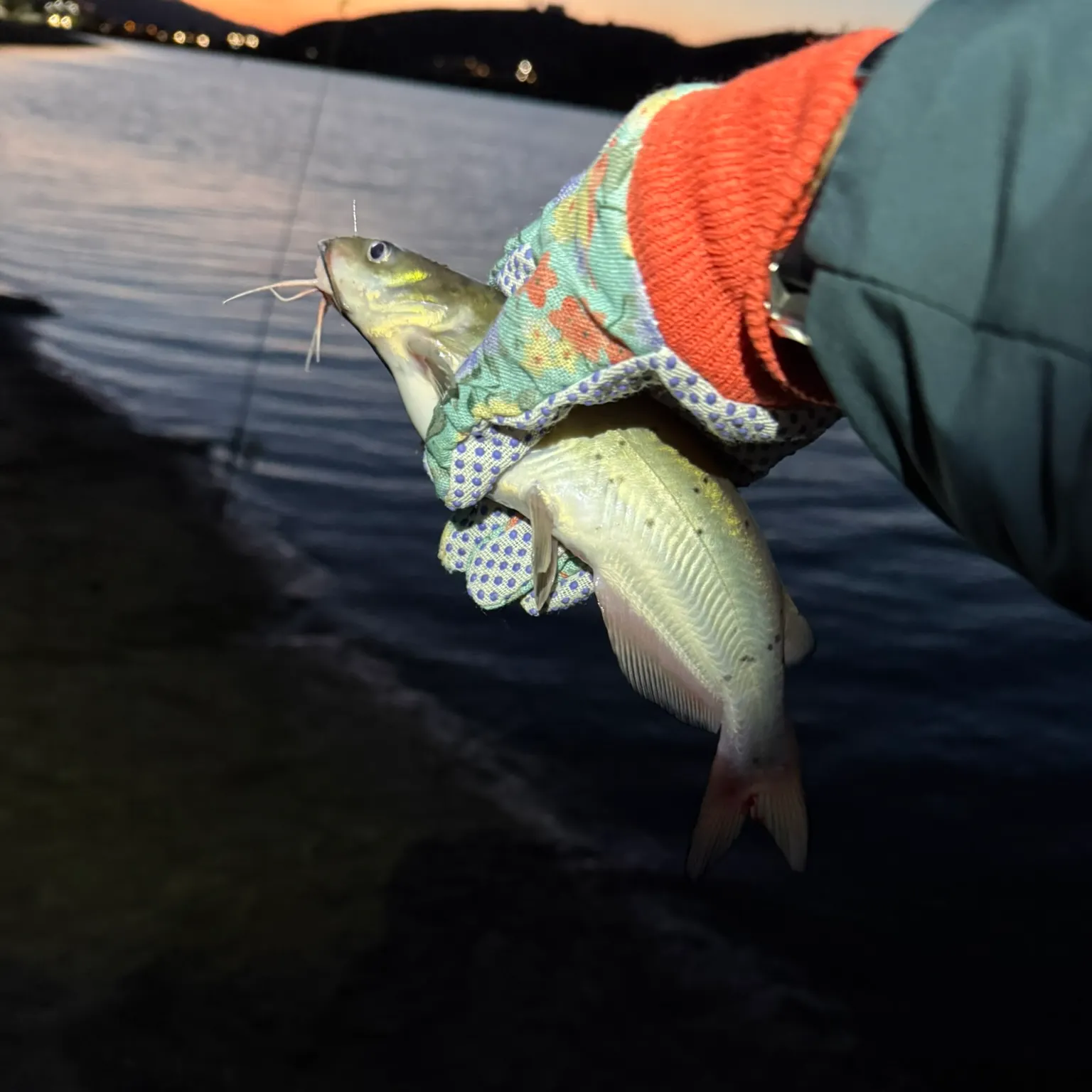 catch