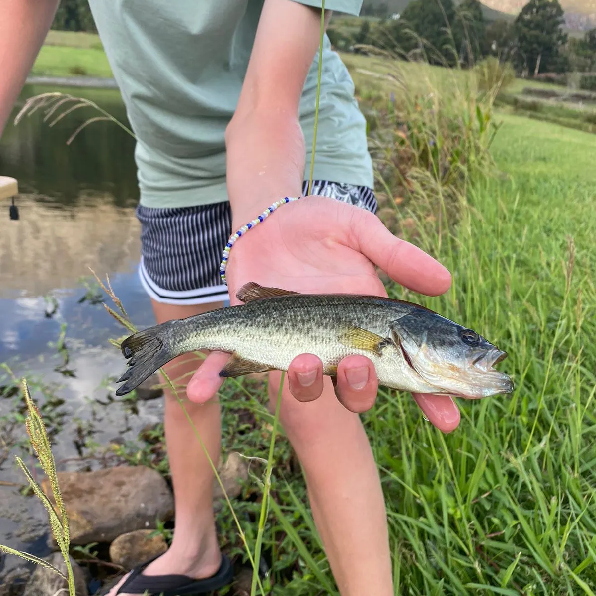 angler catch