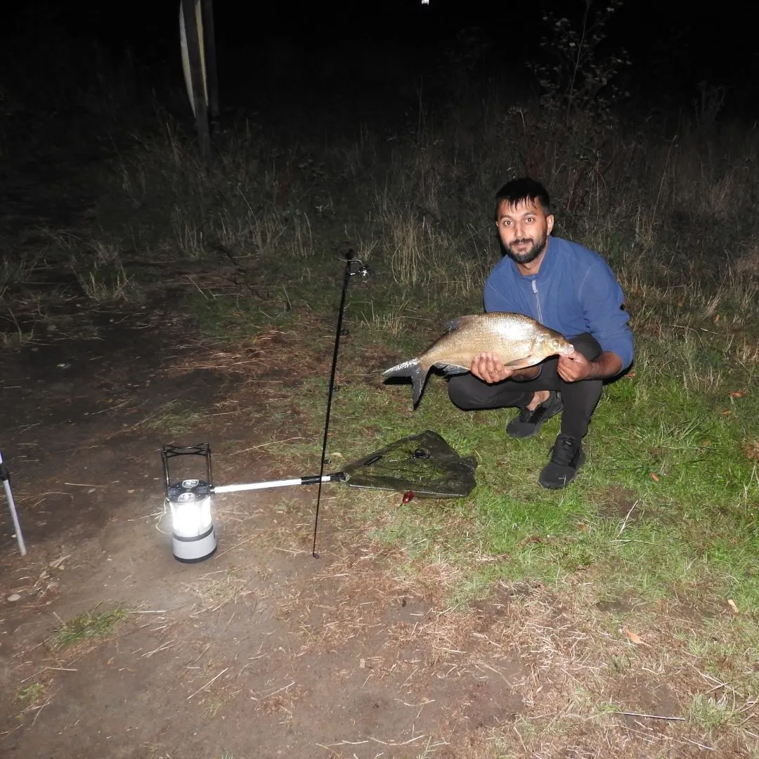 Common bream caught on Fishbrain