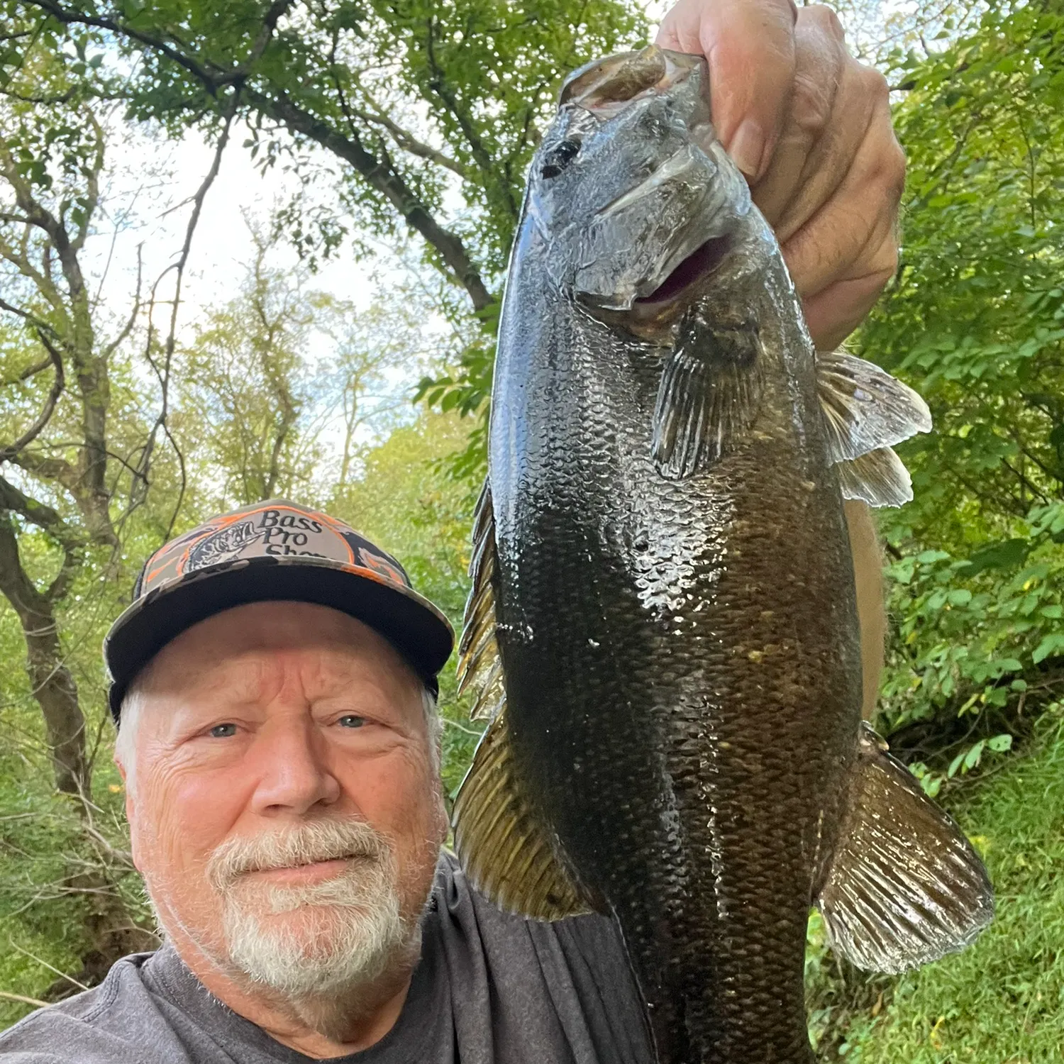 Smallmouth bass caught on Fishbrain