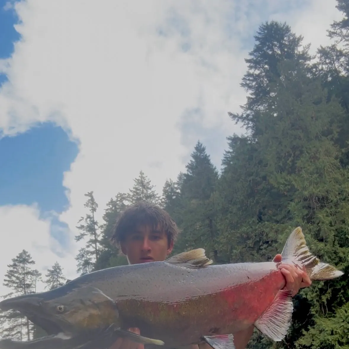Chinook salmon caught on Fishbrain