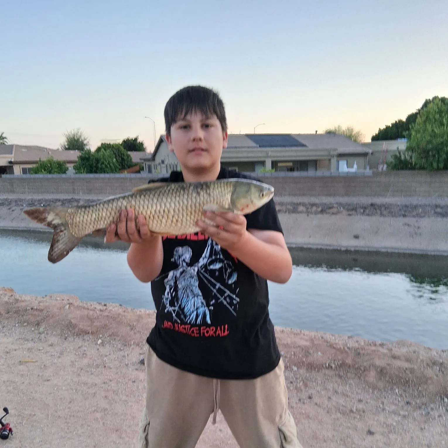 The most recent Grass carp catches on Fishbrain