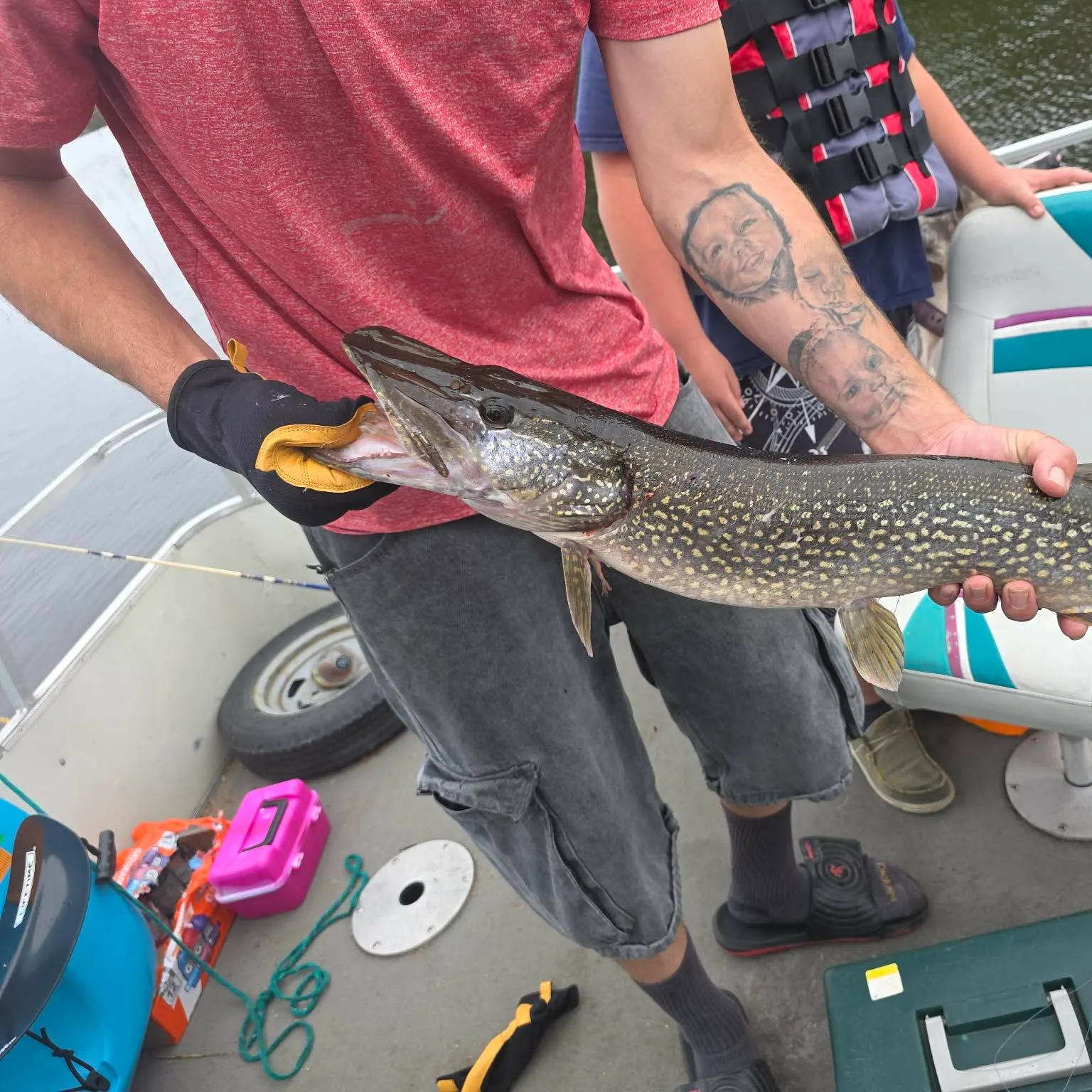 Northern pike caught on Fishbrain
