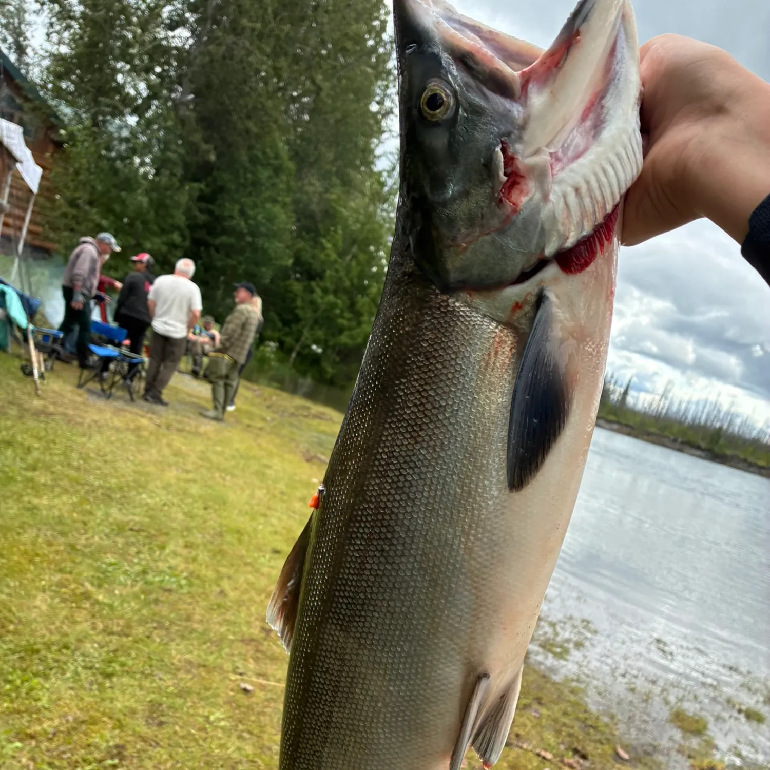 catch