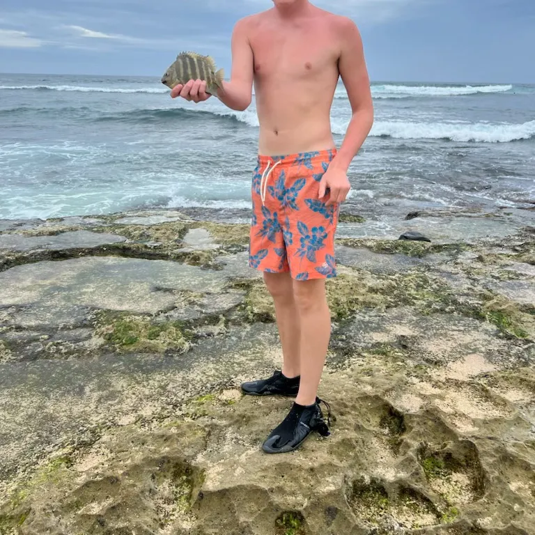 The most recent Blackspot sergeant catches on Fishbrain