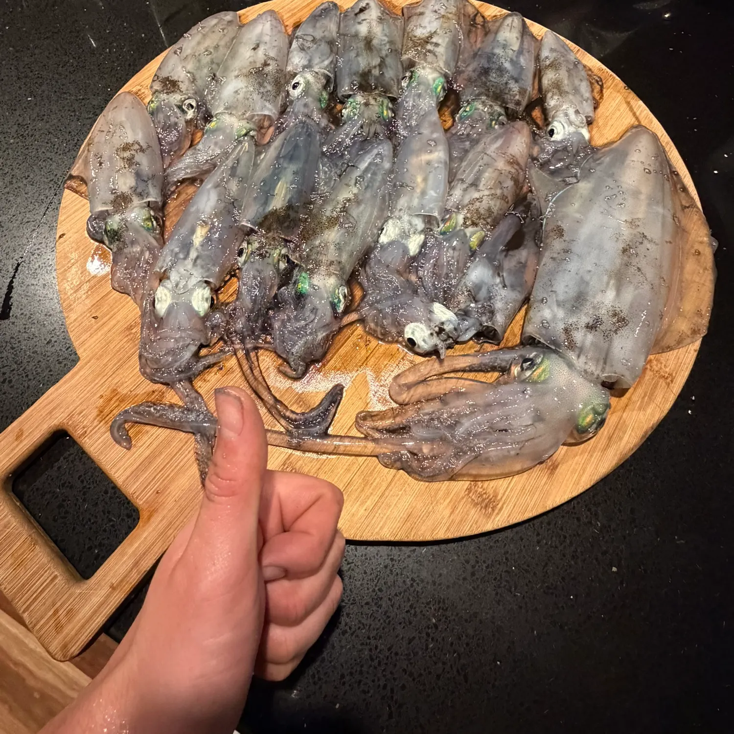 Southern calamari caught on Fishbrain