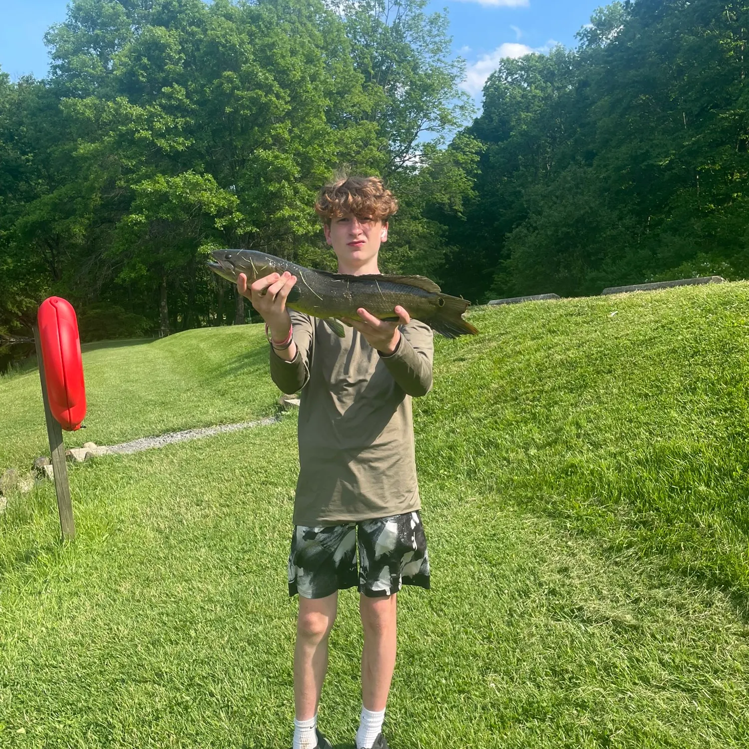 Ruddy bowfin caught on Fishbrain