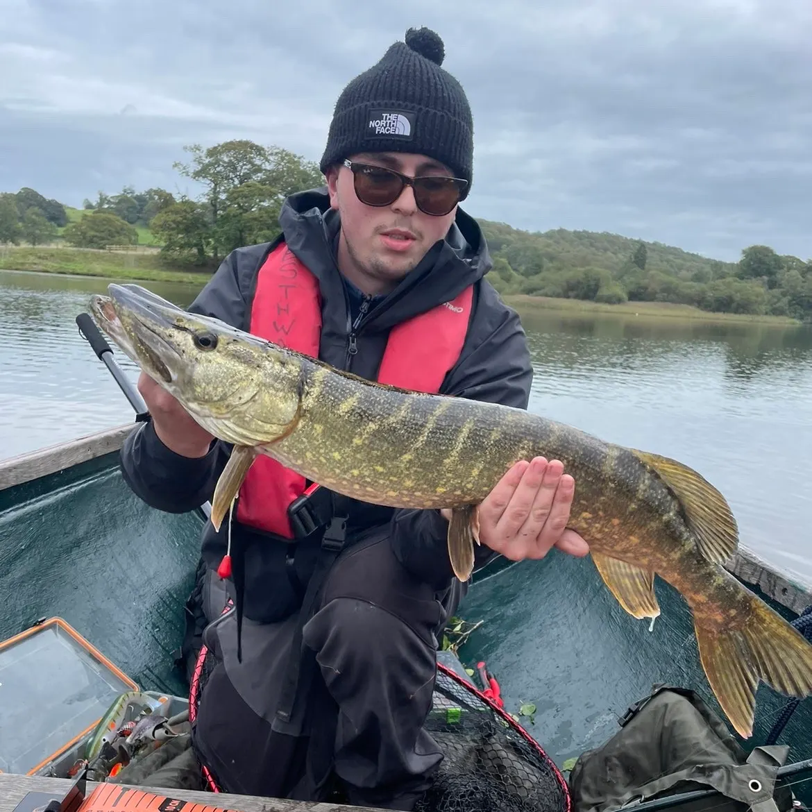 Northern pike caught on Fishbrain