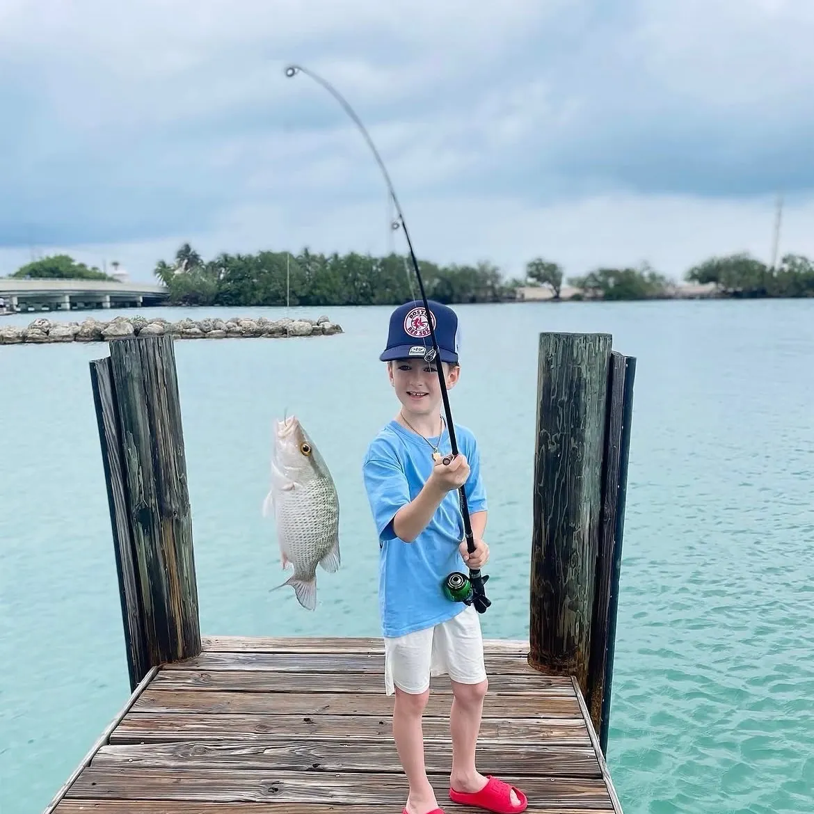Mangrove snapper caught on Fishbrain