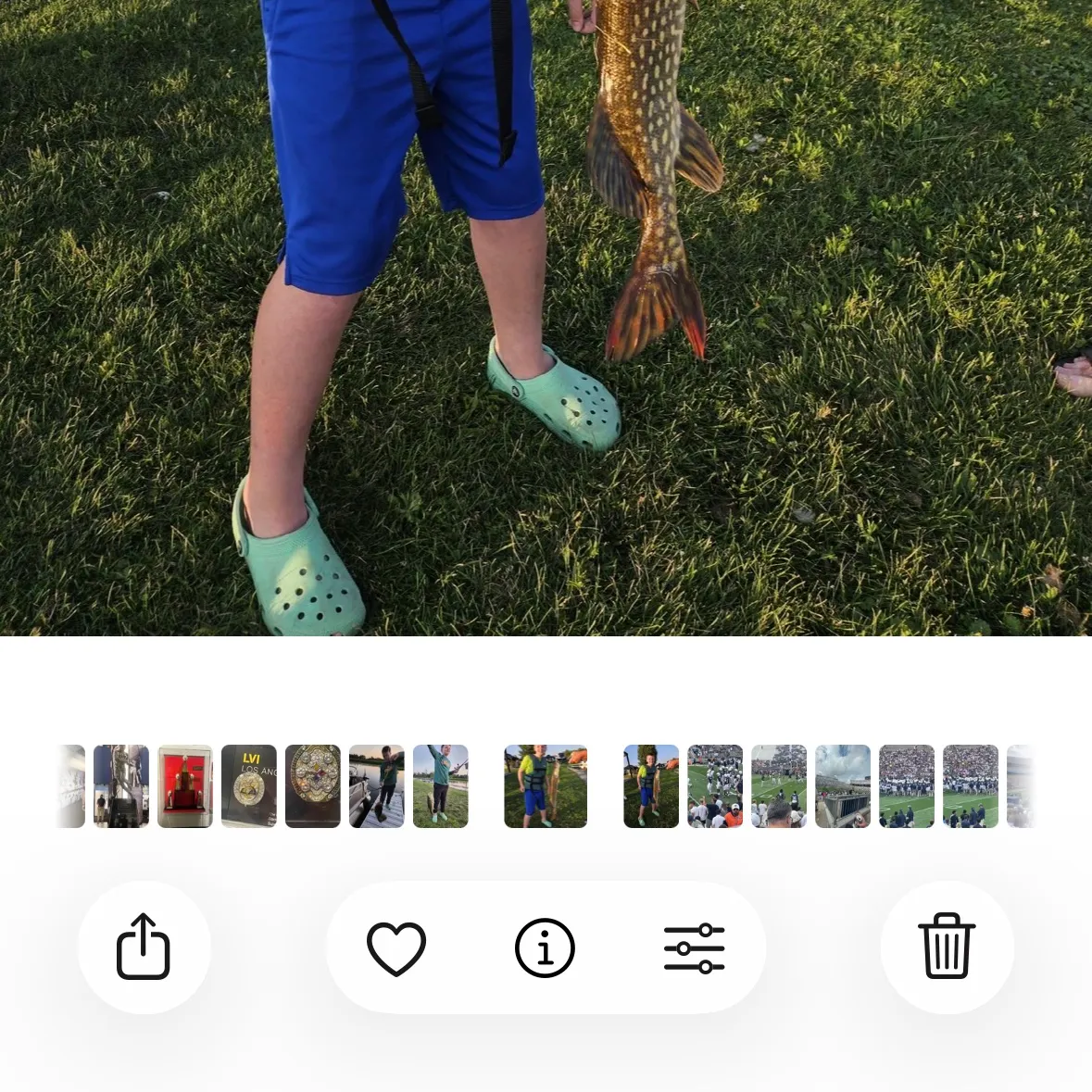 catch