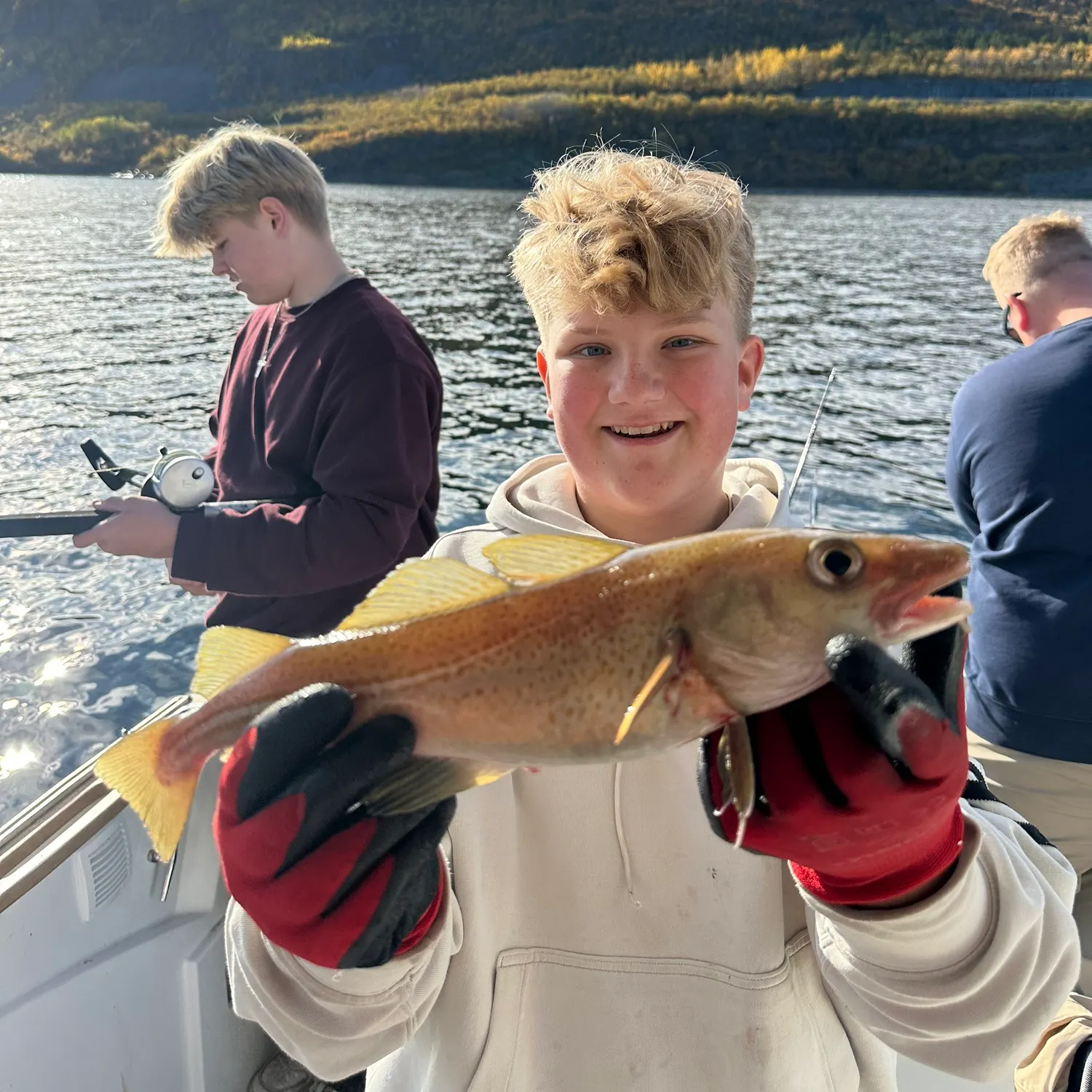 Atlantic cod caught on Fishbrain