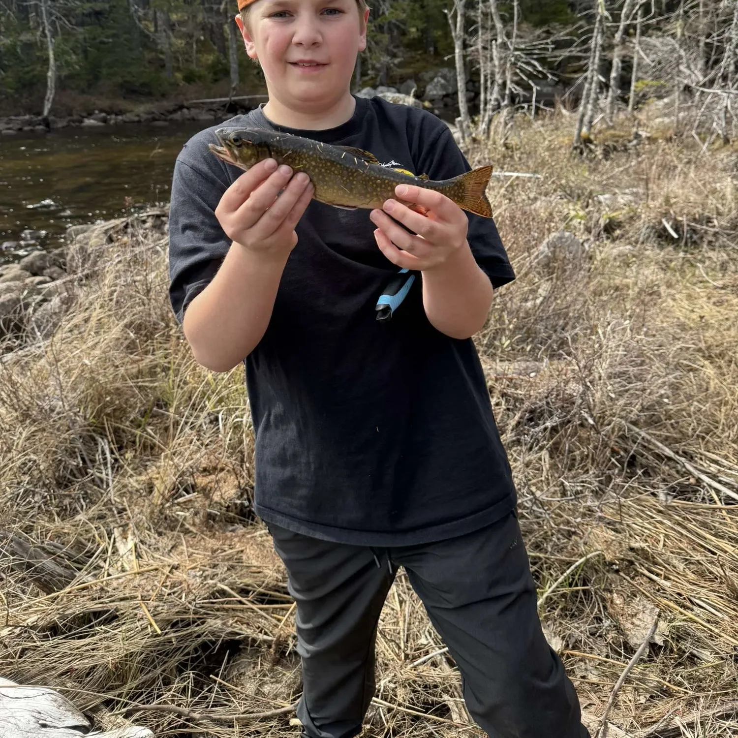 Brown trout caught on Fishbrain