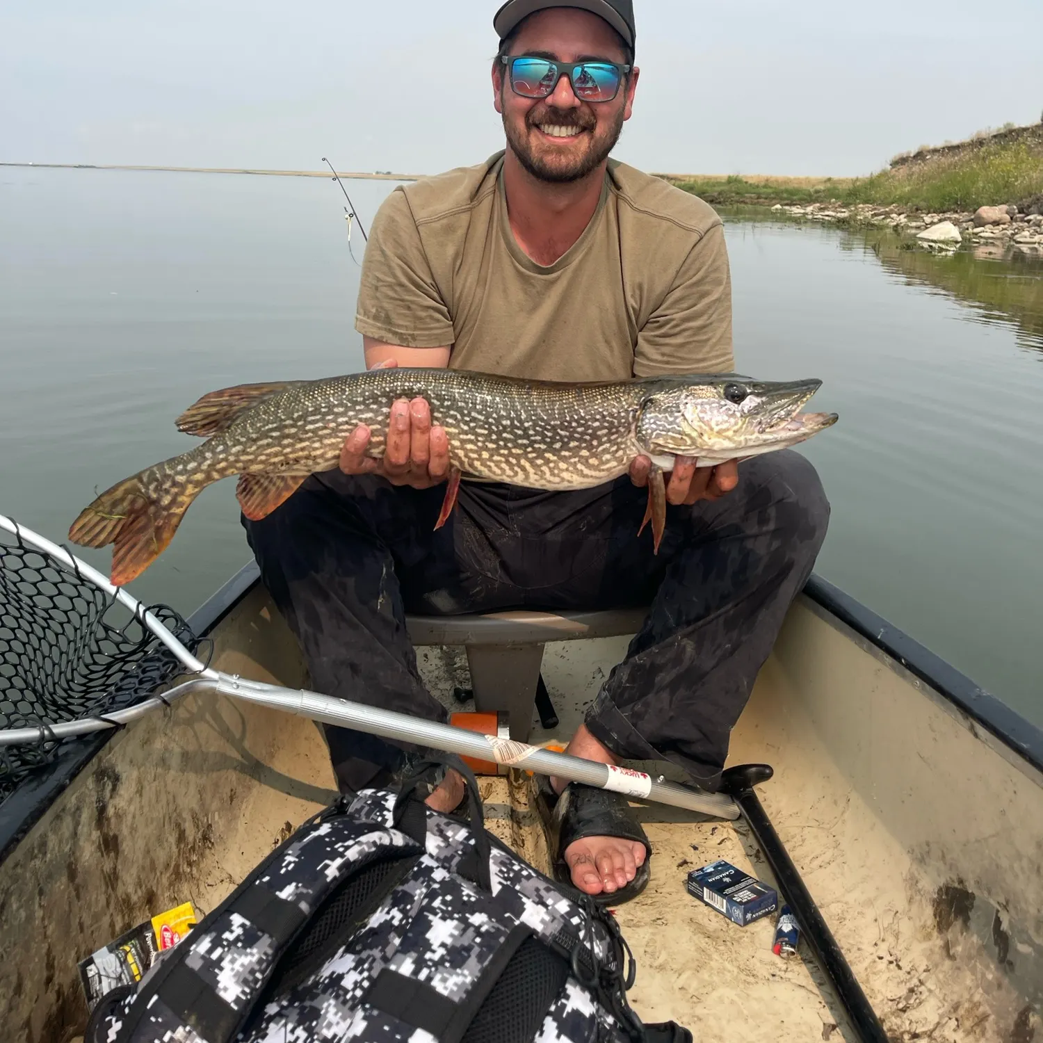 Northern pike caught on Fishbrain