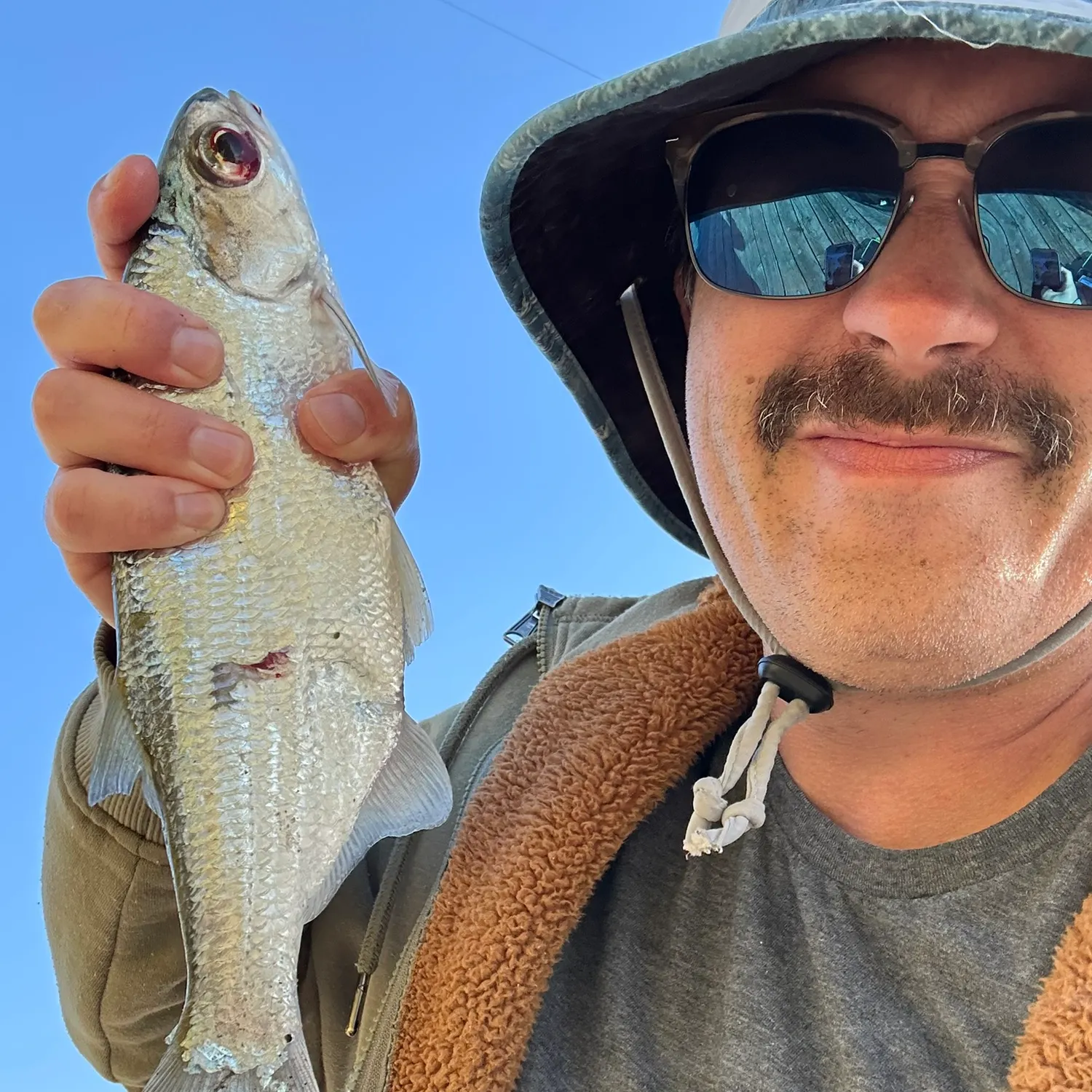 The most recent Mooneye catches on Fishbrain