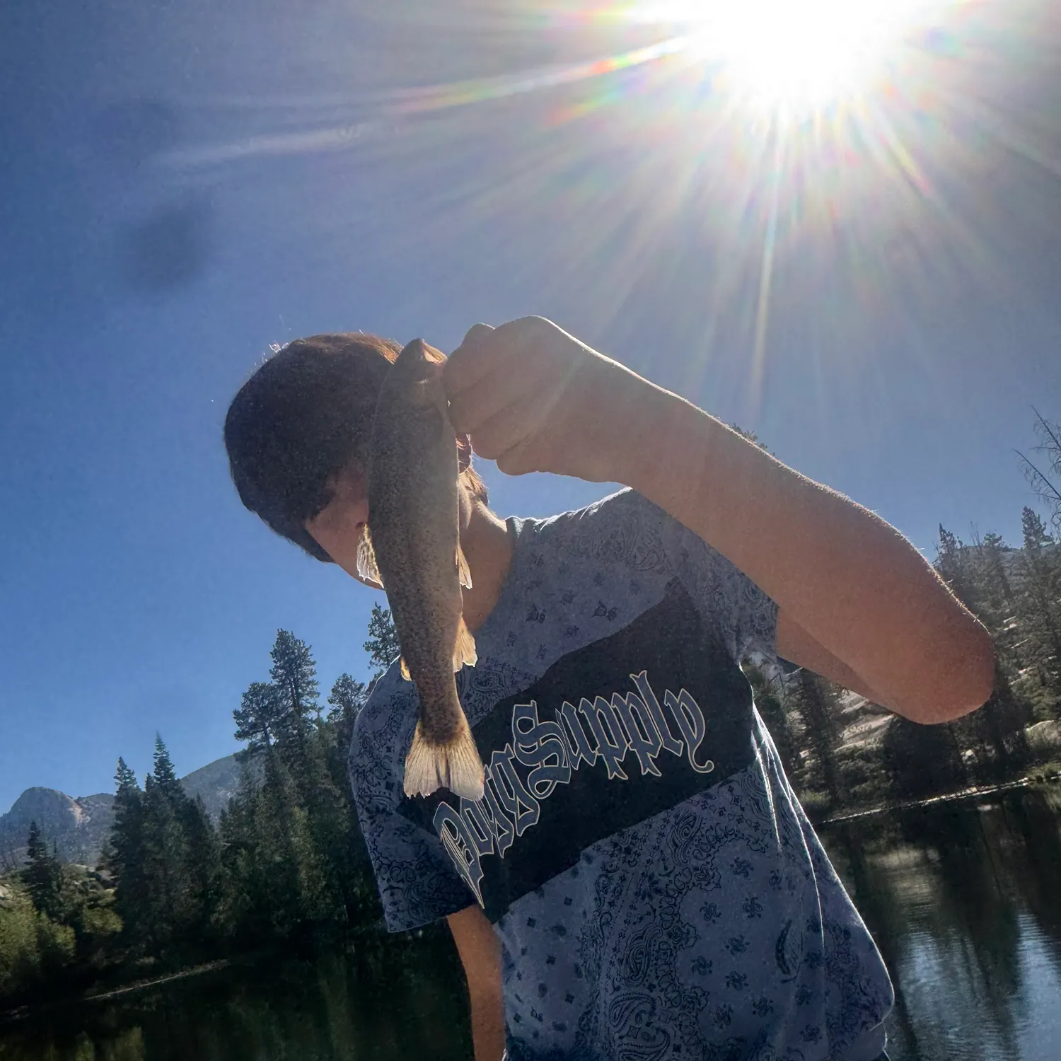 Rainbow trout caught on Fishbrain