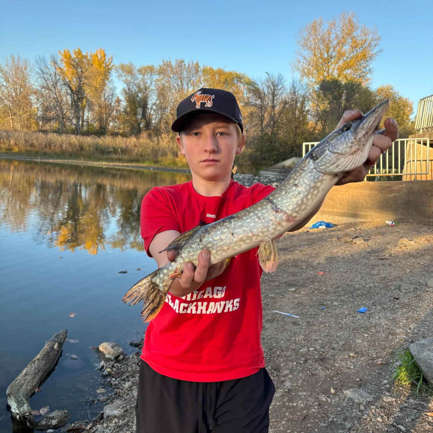 Northern pike caught on Fishbrain