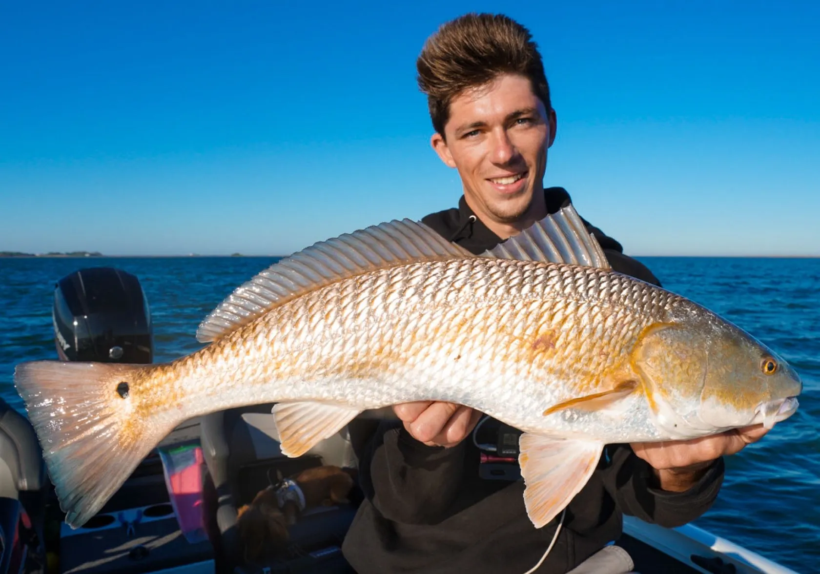 Red drum