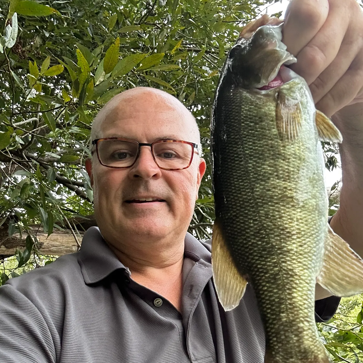 Smallmouth bass caught on Fishbrain