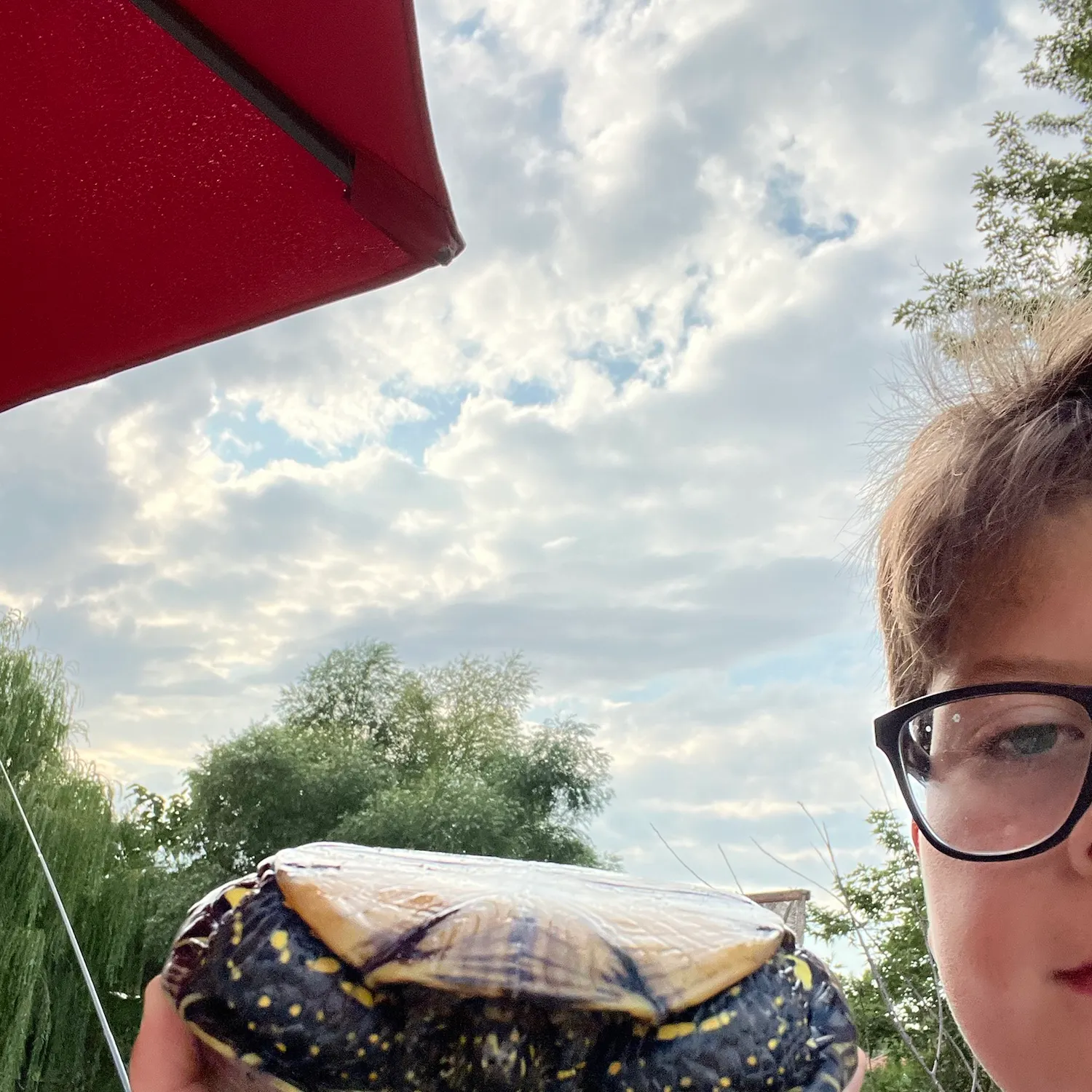Pond slider turtle caught on Fishbrain