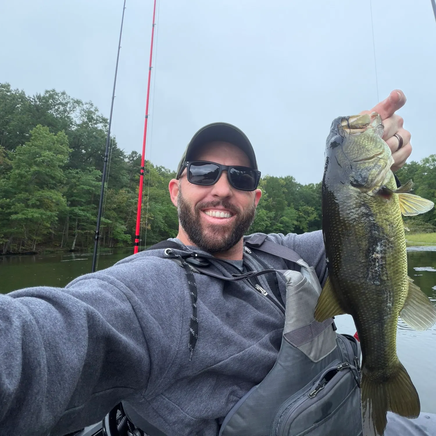 Largemouth bass caught on Fishbrain