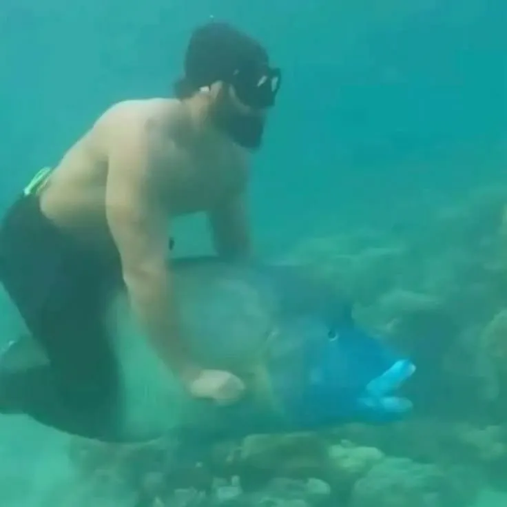 The most recent Harry hotlips catches on Fishbrain