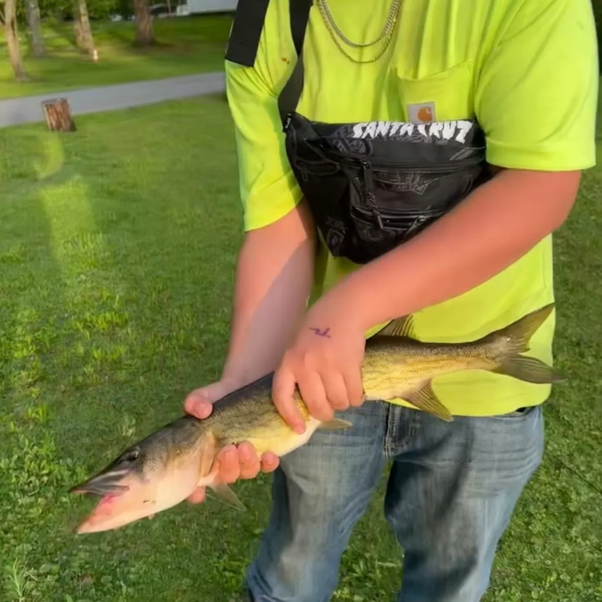 catch