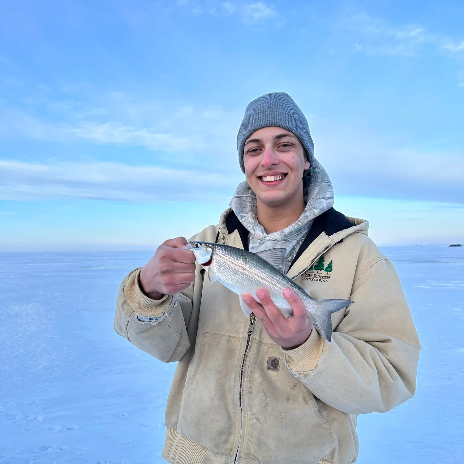 The most recent Northern cisco catches on Fishbrain