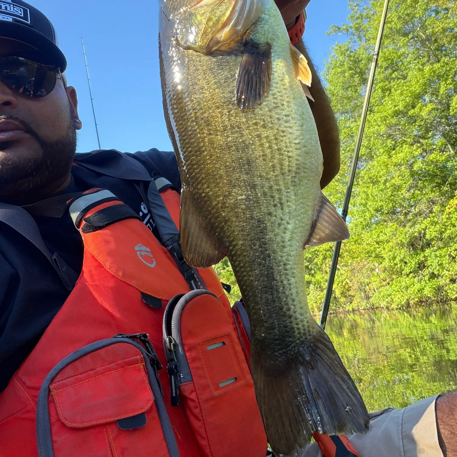 Largemouth bass caught on Fishbrain