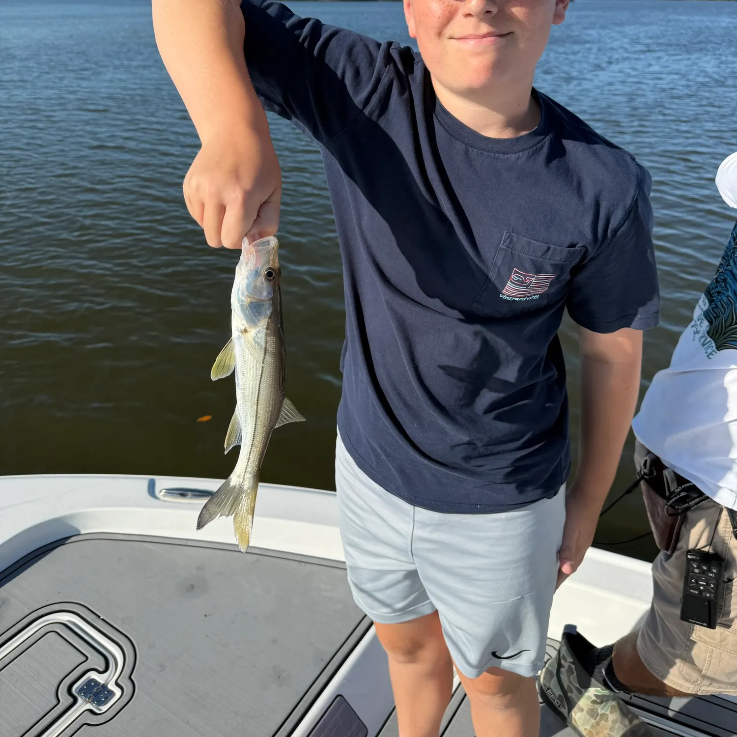Common snook caught on Fishbrain