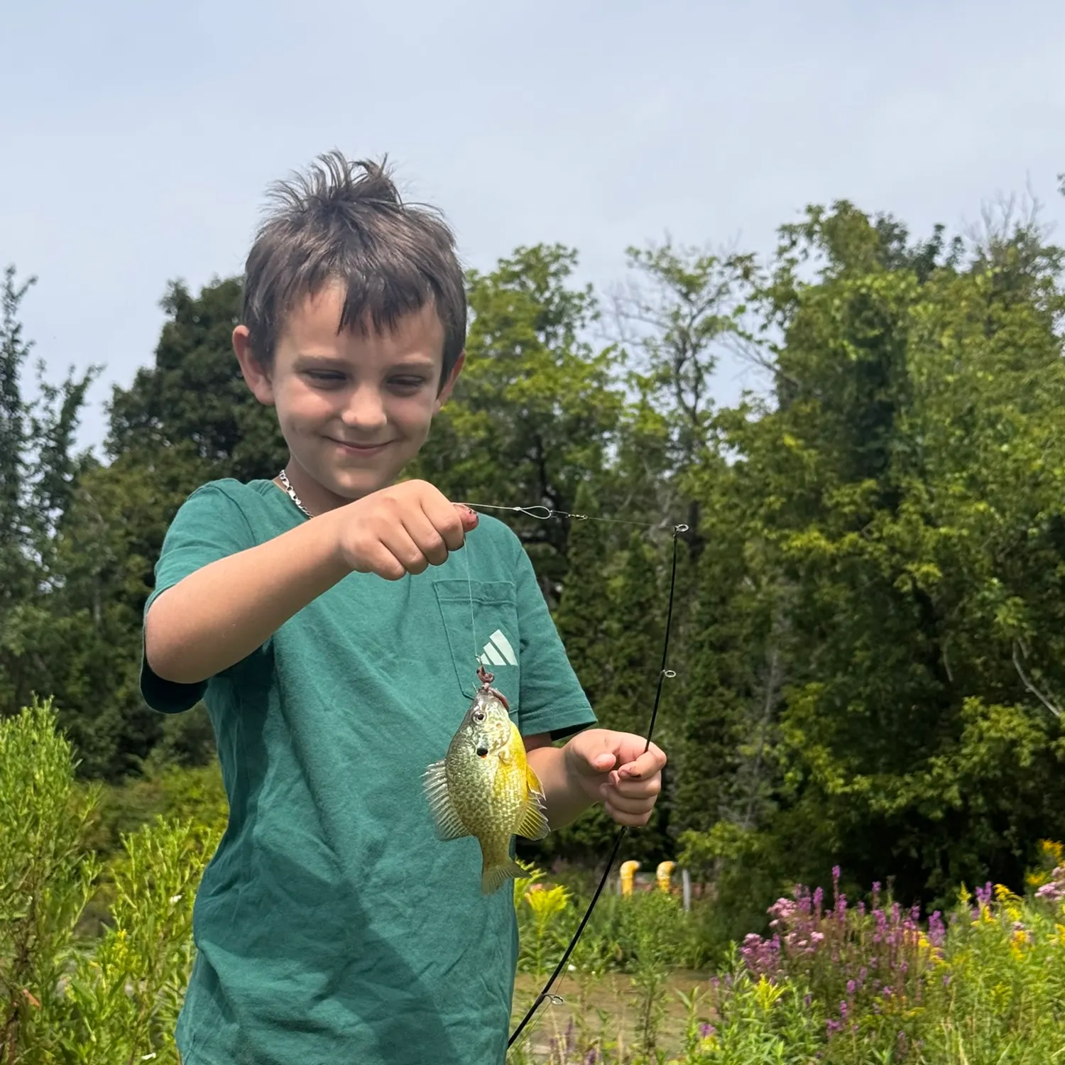Fish caught on Fishbrain