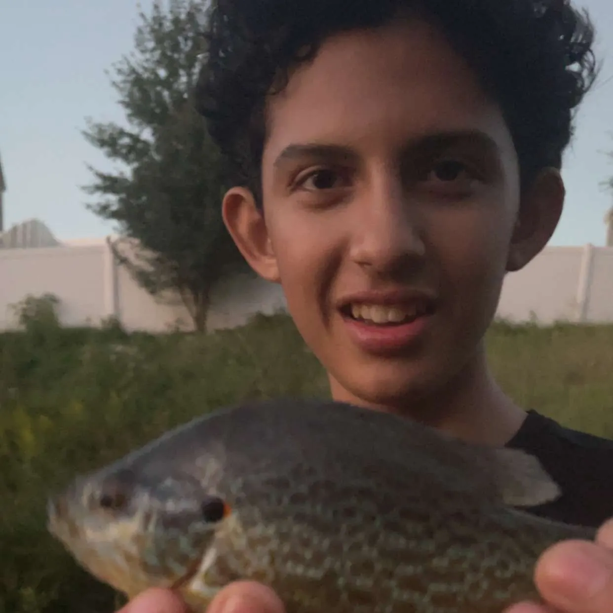 The most recent Northern sunfish catches on Fishbrain