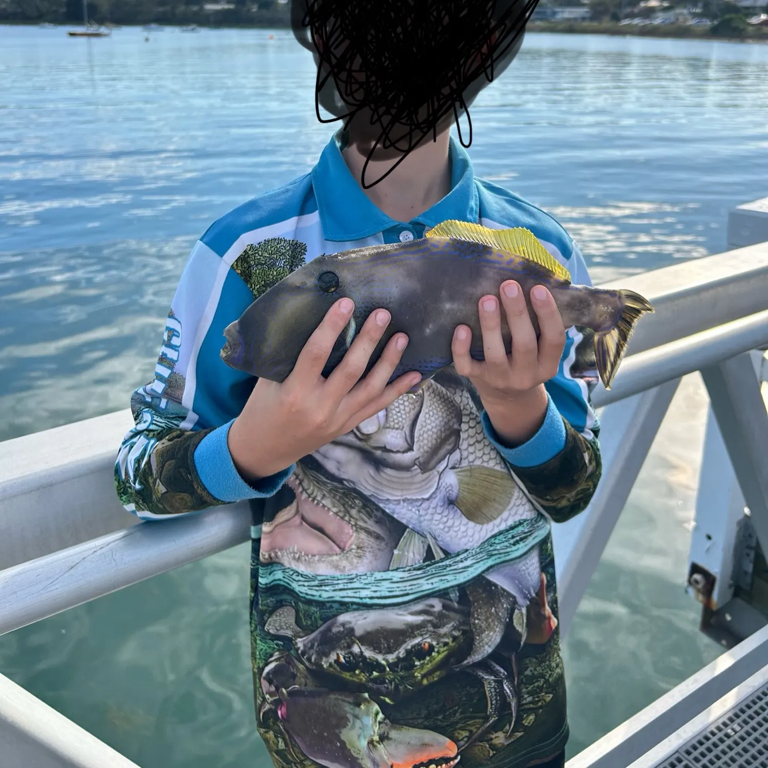 Yellowfin leatherjacket caught on Fishbrain