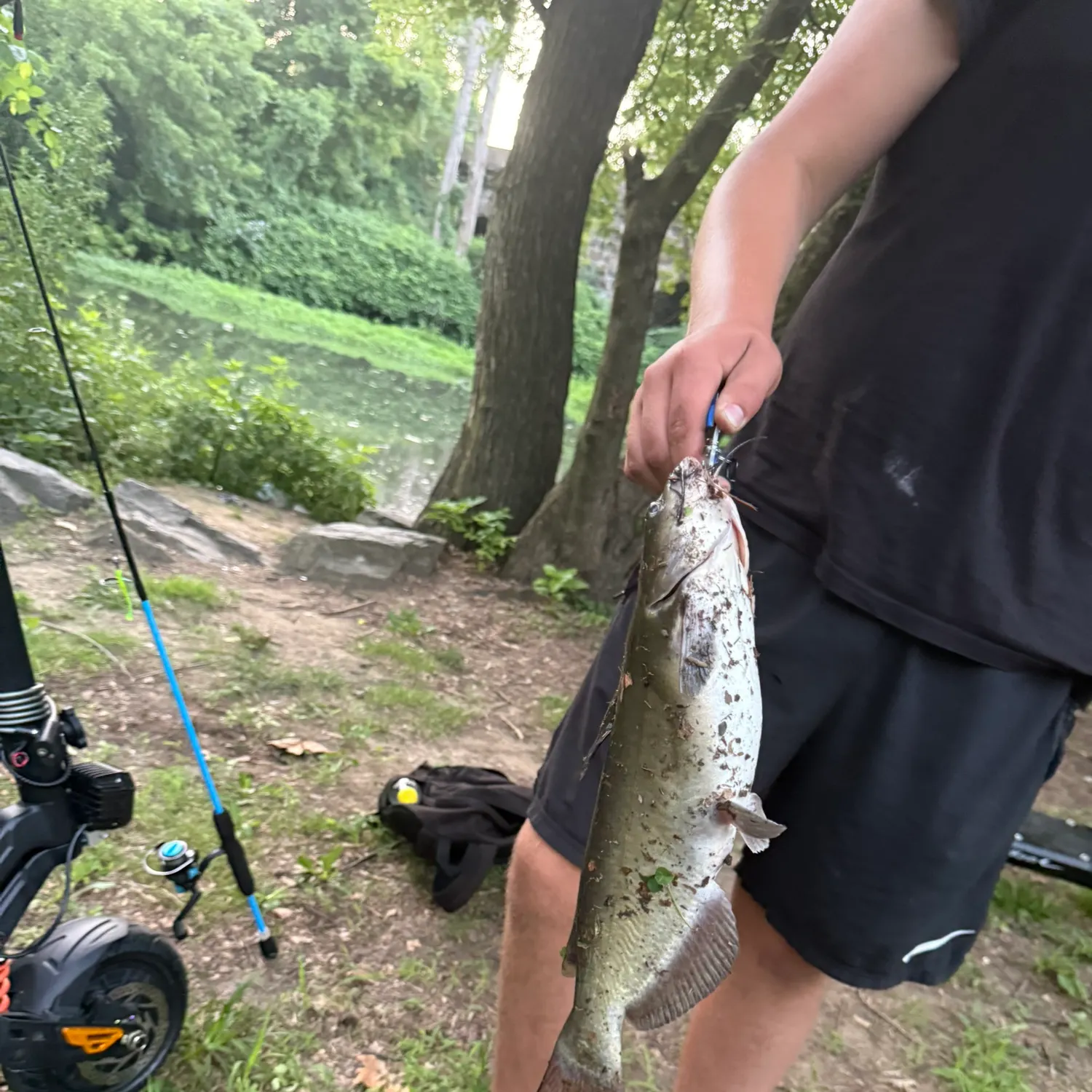 catch