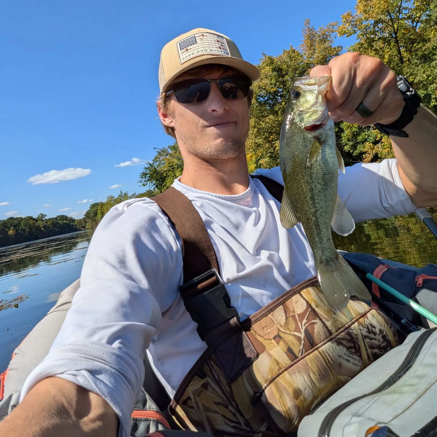 Largemouth bass caught on Fishbrain