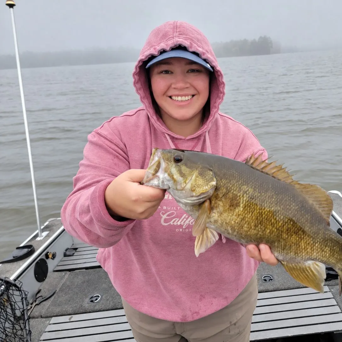 Smallmouth bass caught on Fishbrain
