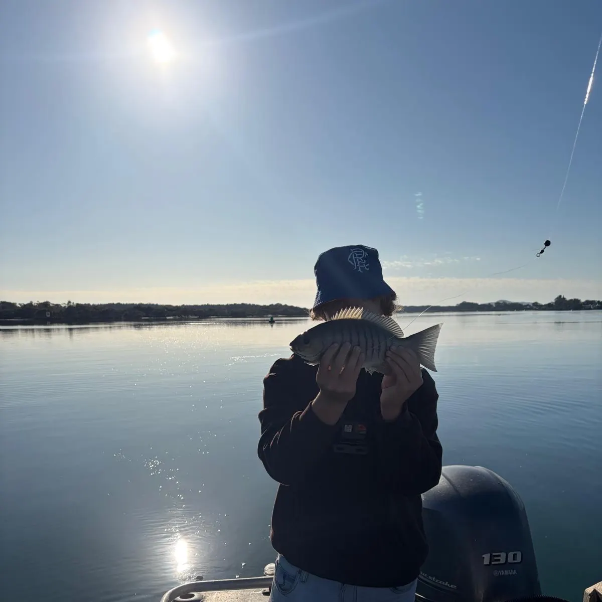 Luderick caught on Fishbrain