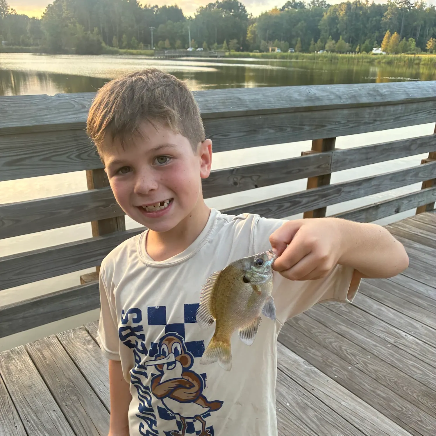 Bluegill caught on Fishbrain