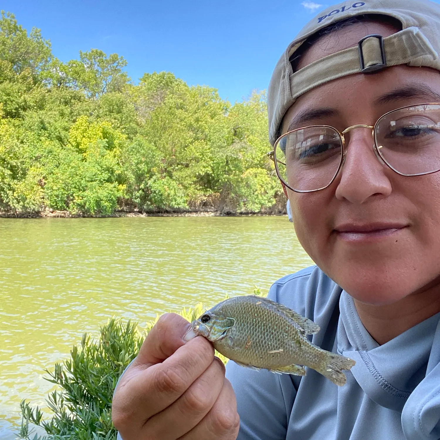 The most recent Redspotted sunfish catches on Fishbrain