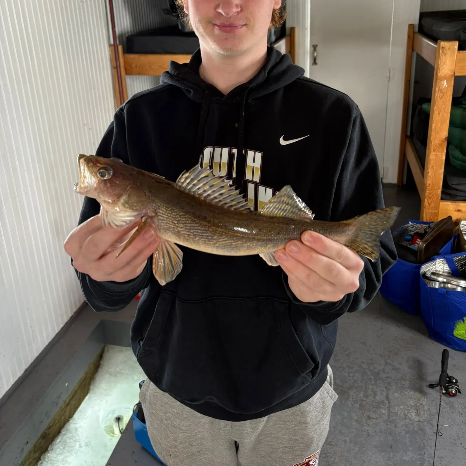 The most recent Sauger catches on Fishbrain